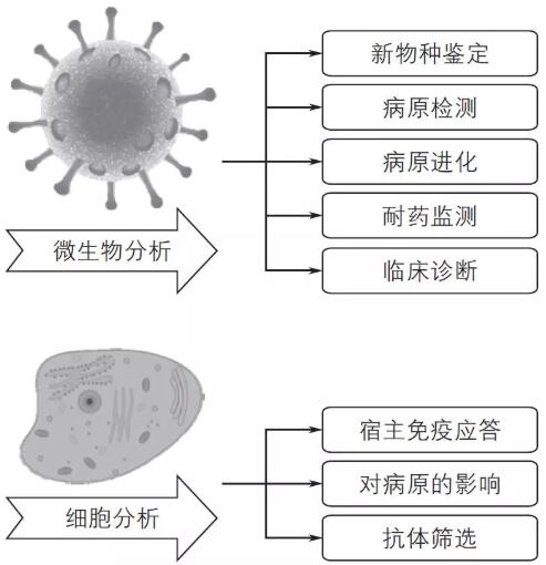 單細(xì)胞測序技術(shù)及其在傳染病研究領(lǐng)域中的應(yīng)用講解